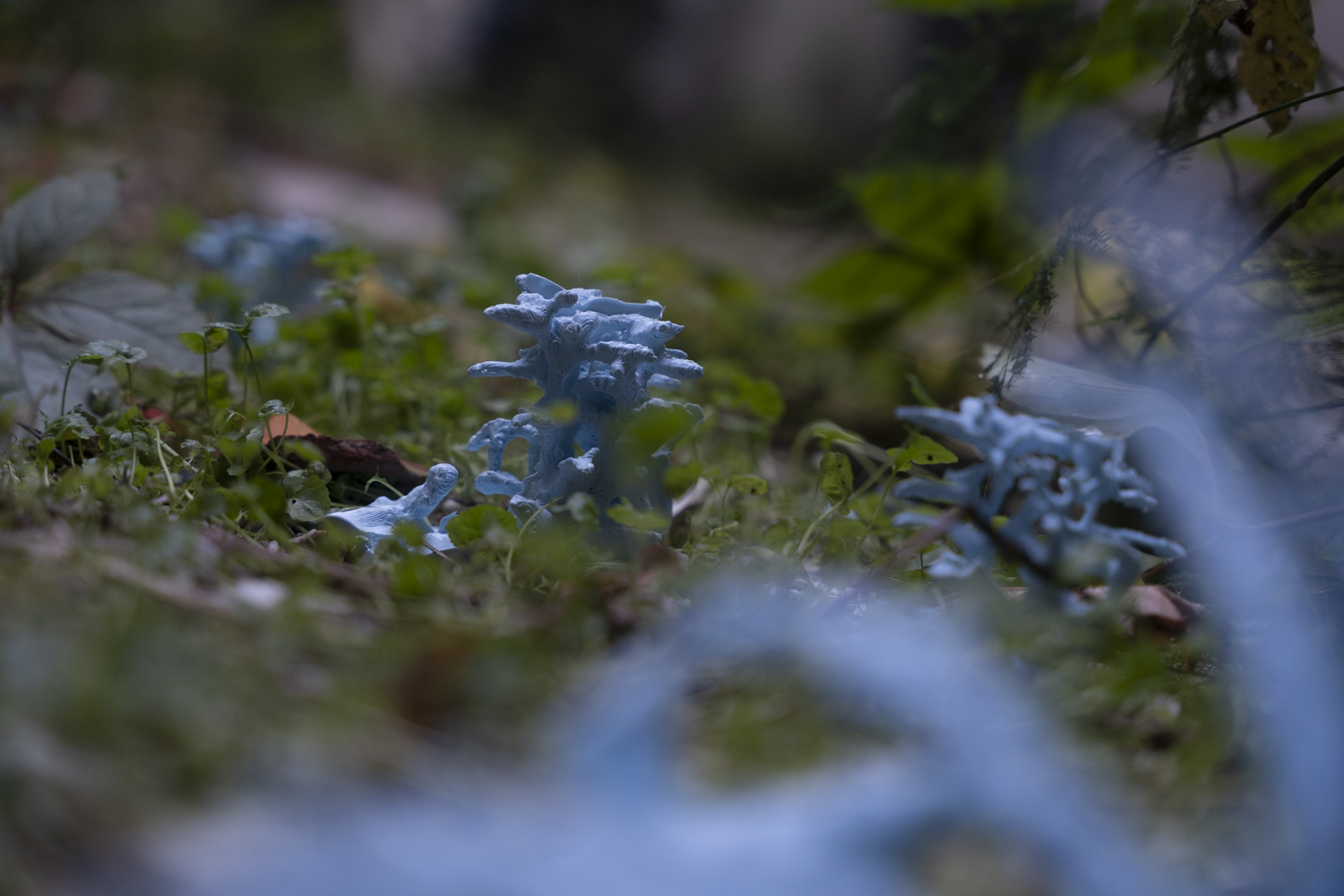 We Once Were Plants6